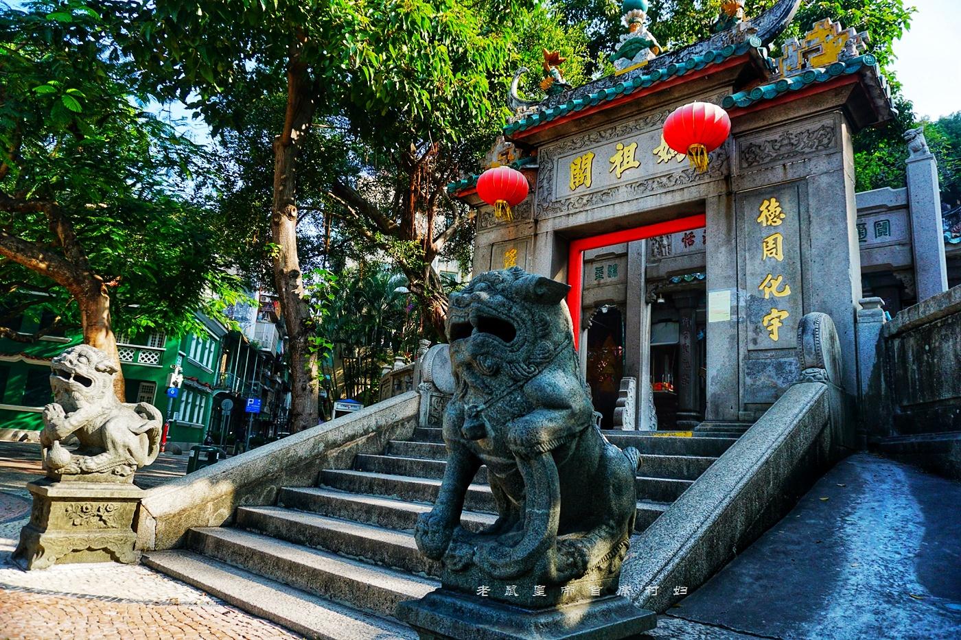 探索未来澳门，全面免费政策的释义、解释与落实